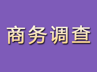 防城商务调查